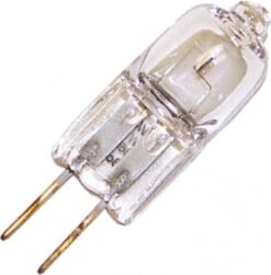 Schiefer Halogeenlamp G4 Steeklamp 20W 8x31mm 12V Helder/clear