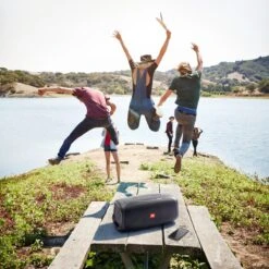 JBL BassPro Go Plus - 2 In 1 Subwoofer - Auto Subwoofer - Bluetooth Speaker - 200 W - Met Thuislader -Auto-Onderdelen 1200x1200 307